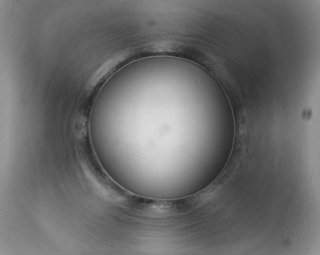 X0000113580164200910021701