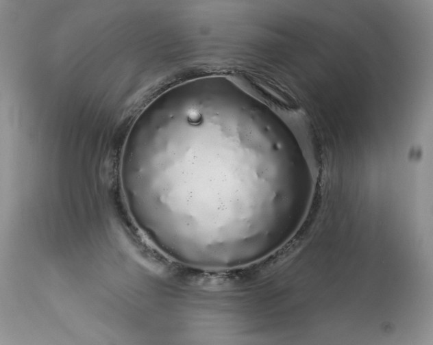 X0000113580165200910021701