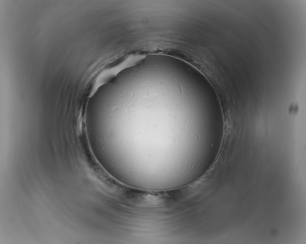 X0000113580166200910021701