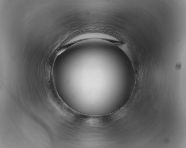 X0000113580168200910021701