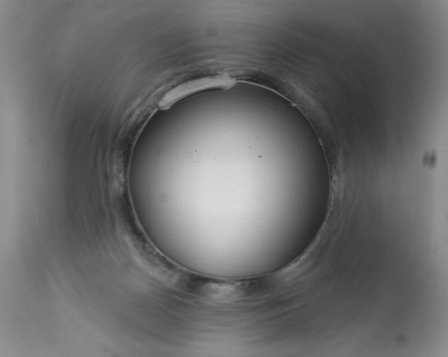 X0000113580170200910021701