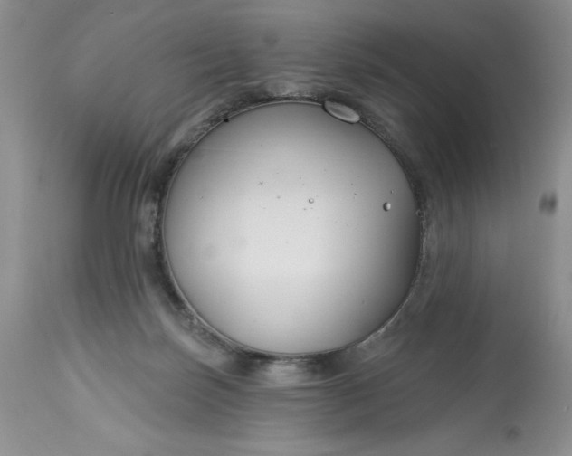 X0000113580171200910021701