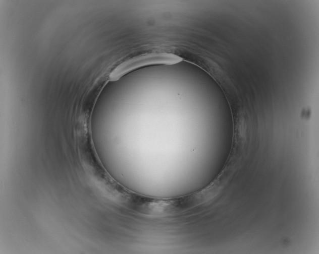 X0000113580172200910021701