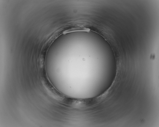 X0000113580174200910021701