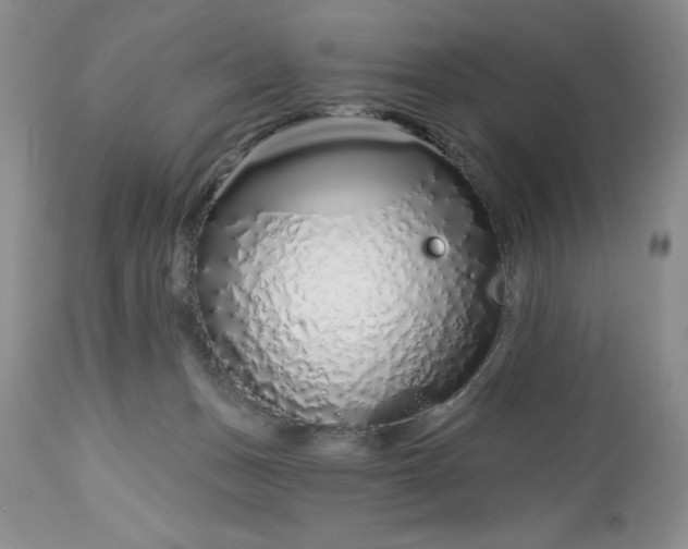 X0000113580175200910021701