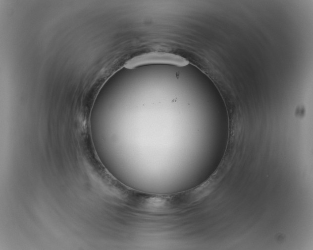 X0000113580176200910021701