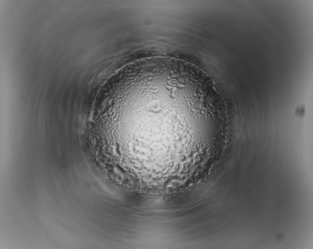 X0000113580177200910021701