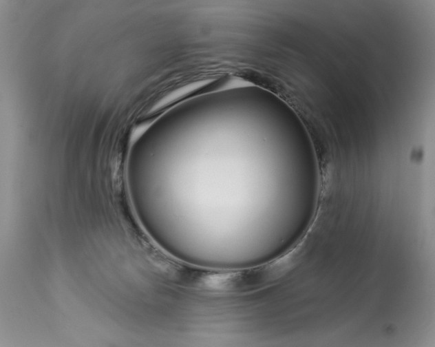 X0000113580178200910021701