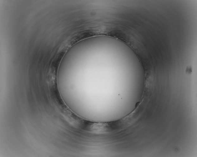 X0000113580179200910021701