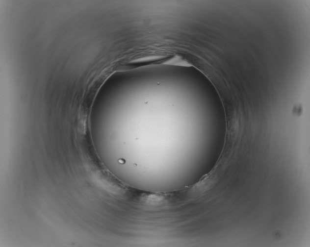 X0000113580180200910021701