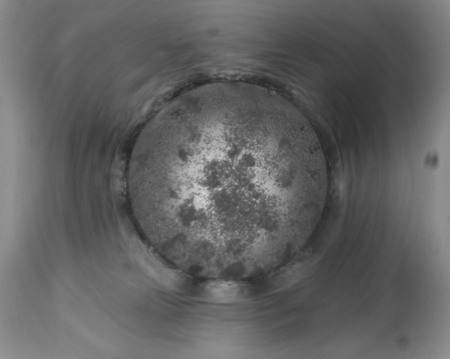 X0000113580181200910021701