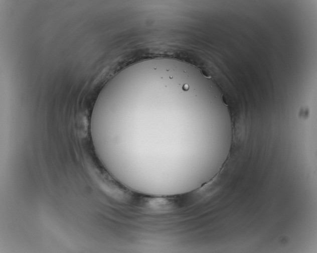 X0000113580183200910021701