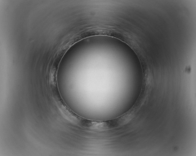 X0000113580185200910021702