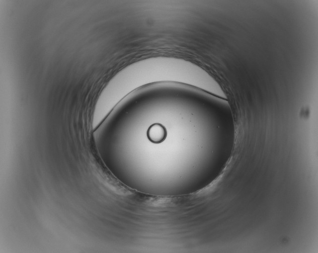 X0000113580186200910021702