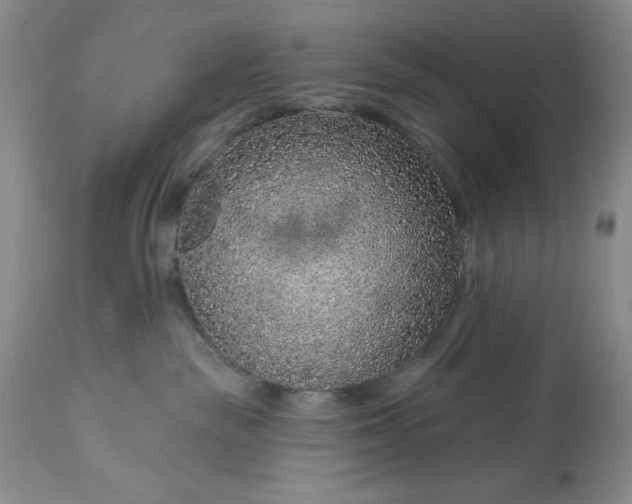 X0000113580189200910021702