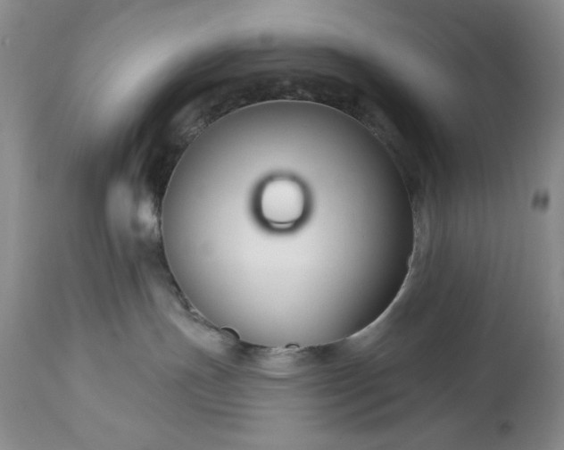 X0000113580191200910021702