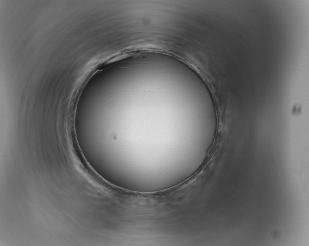 X0000113580193200910021701