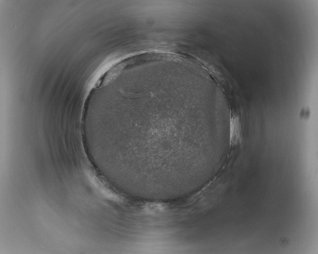 X0000113580195200910021701