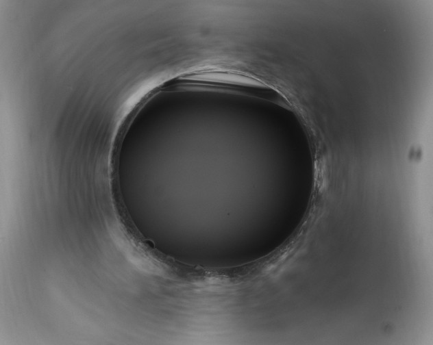 X0000113580196200910021701