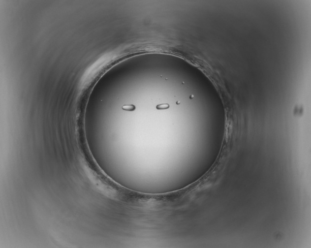 X0000113580197200910021701