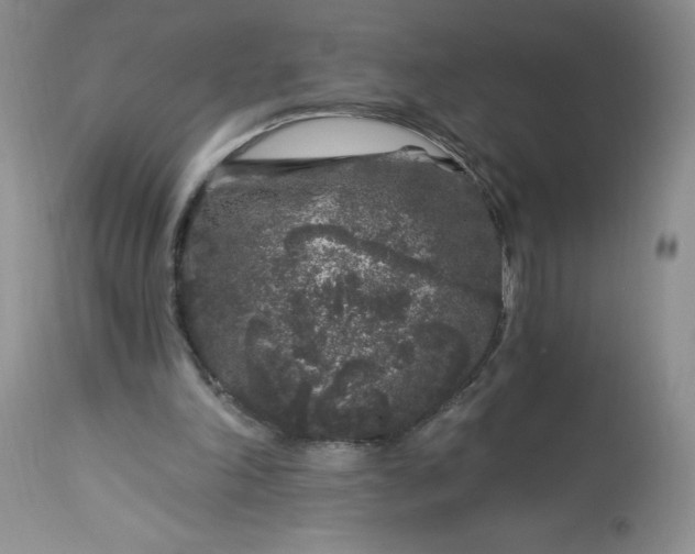 X0000113580198200910021701