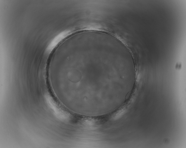 X0000113580199200910021701