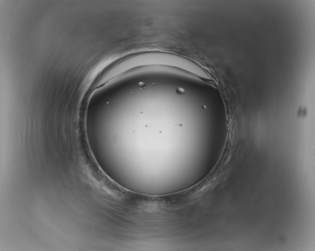 X0000113580200200910021701