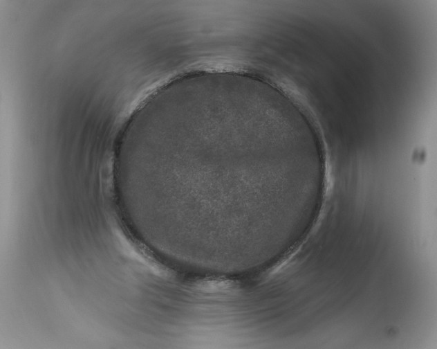 X0000113580202200910021701