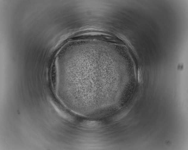 X0000113580205200910021701