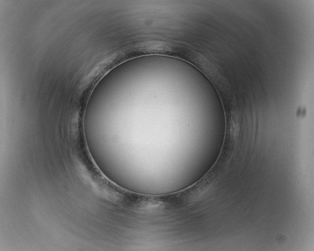 X0000113580206200910021701