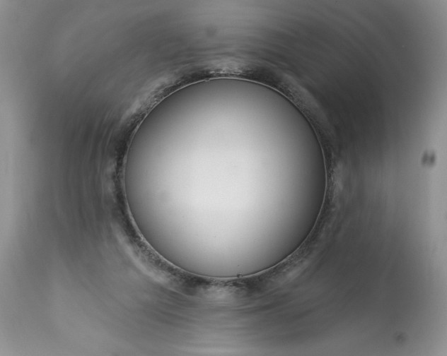 X0000113580209200910021701