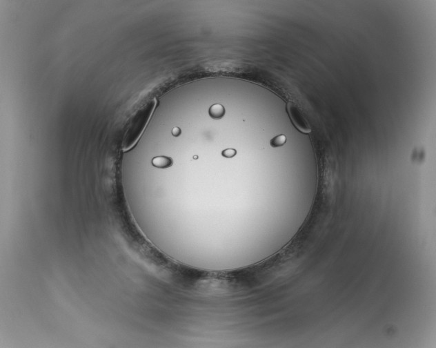 X0000113580211200910021701