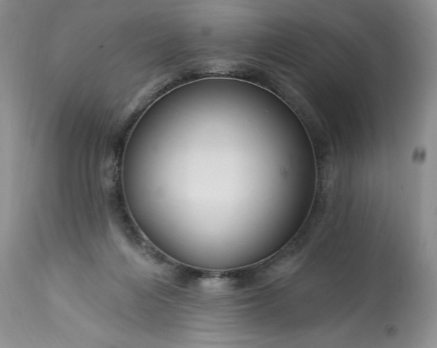 X0000113580216200910021701