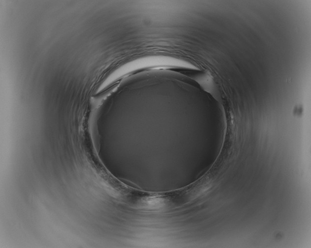 X0000113580219200910021700