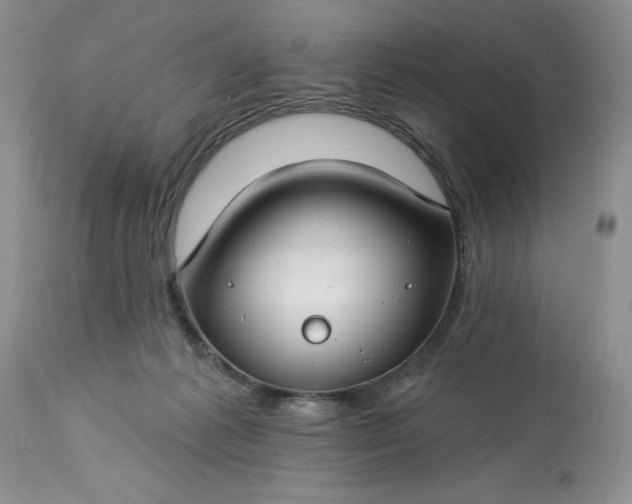 X0000113580221200910021700