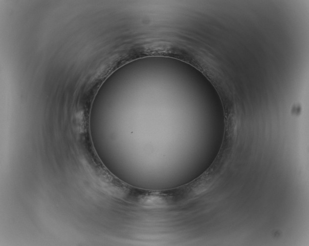 X0000113580224200910021700