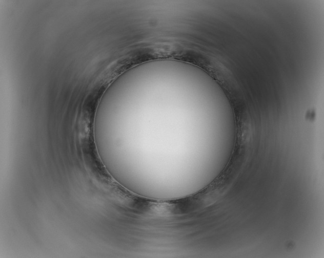 X0000113580226200910021700