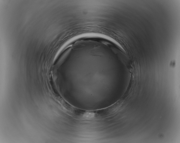 X0000113580227200910021700