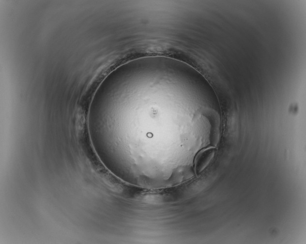 X0000113580228200910021700