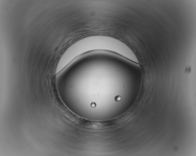 X0000113580229200910021700