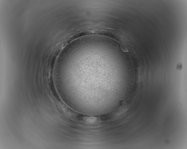 X0000113580230200910021700