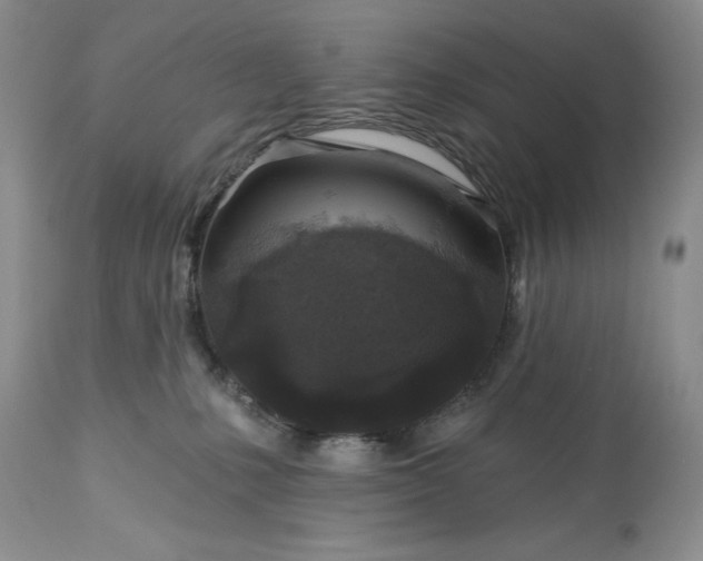 X0000113580231200910021700