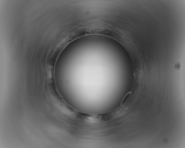 X0000113580232200910021700