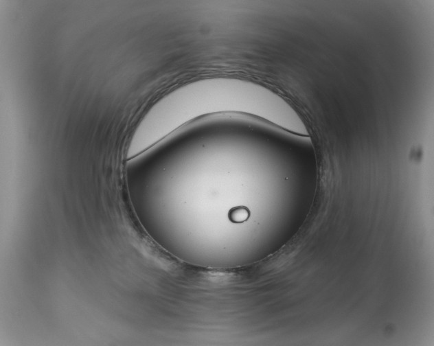 X0000113580233200910021700