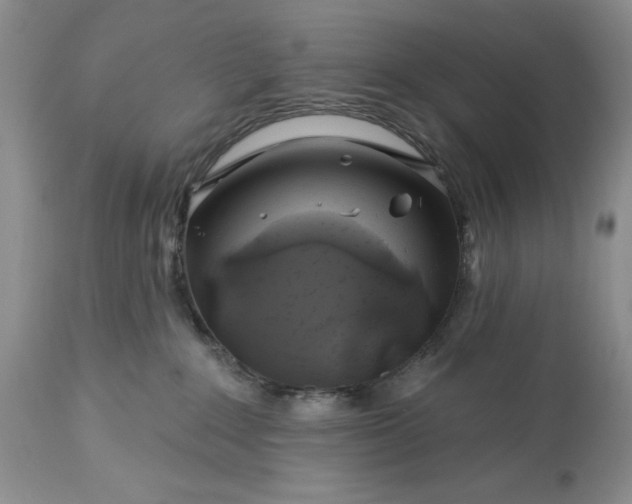 X0000113580235200910021700