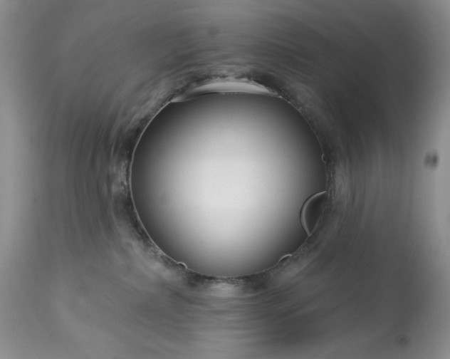 X0000113580236200910021700