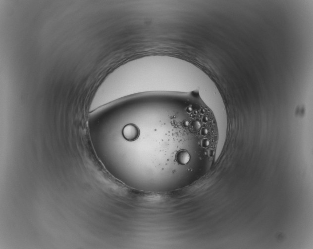 X0000113580237200910021700