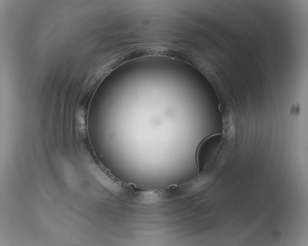 X0000113580238200910021700