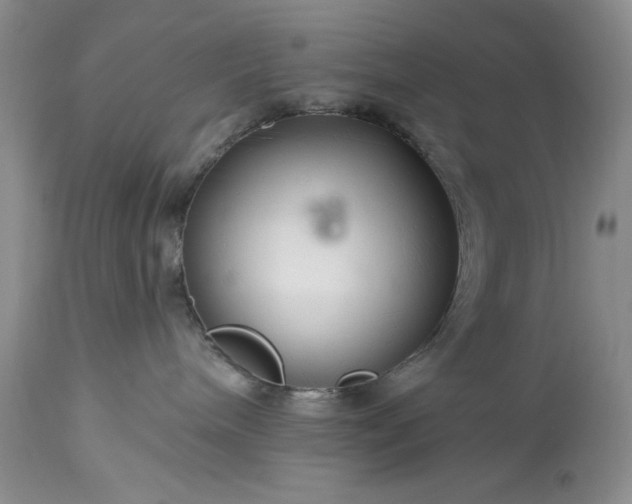 X0000113580240200910021700