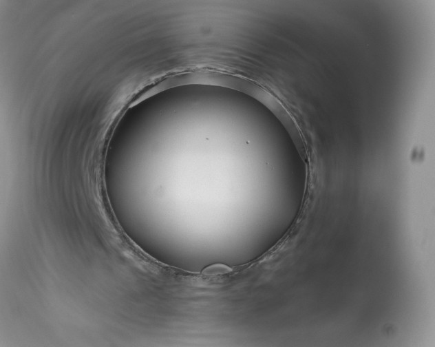 X0000113580241200910021700